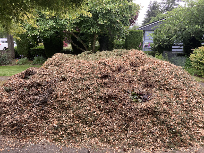 wood chips pile