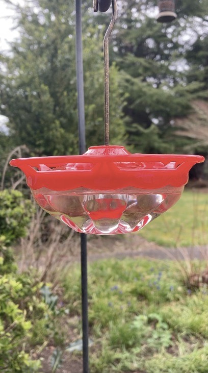 humming bird feeder